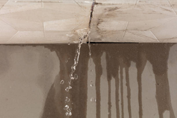 Professional Flood Damage Cleanup technician working in Lake Tomahawk, WI